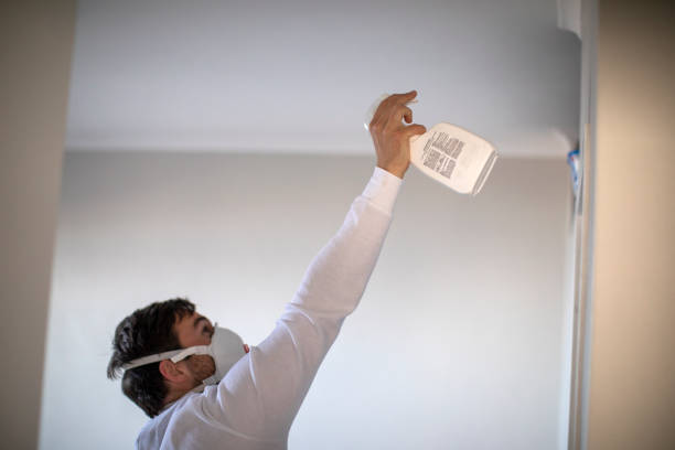Best Office Mold Removal Services  in Harwood Heights, IL