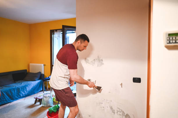 Best Certified Mold Removal  in Harwood Heights, IL